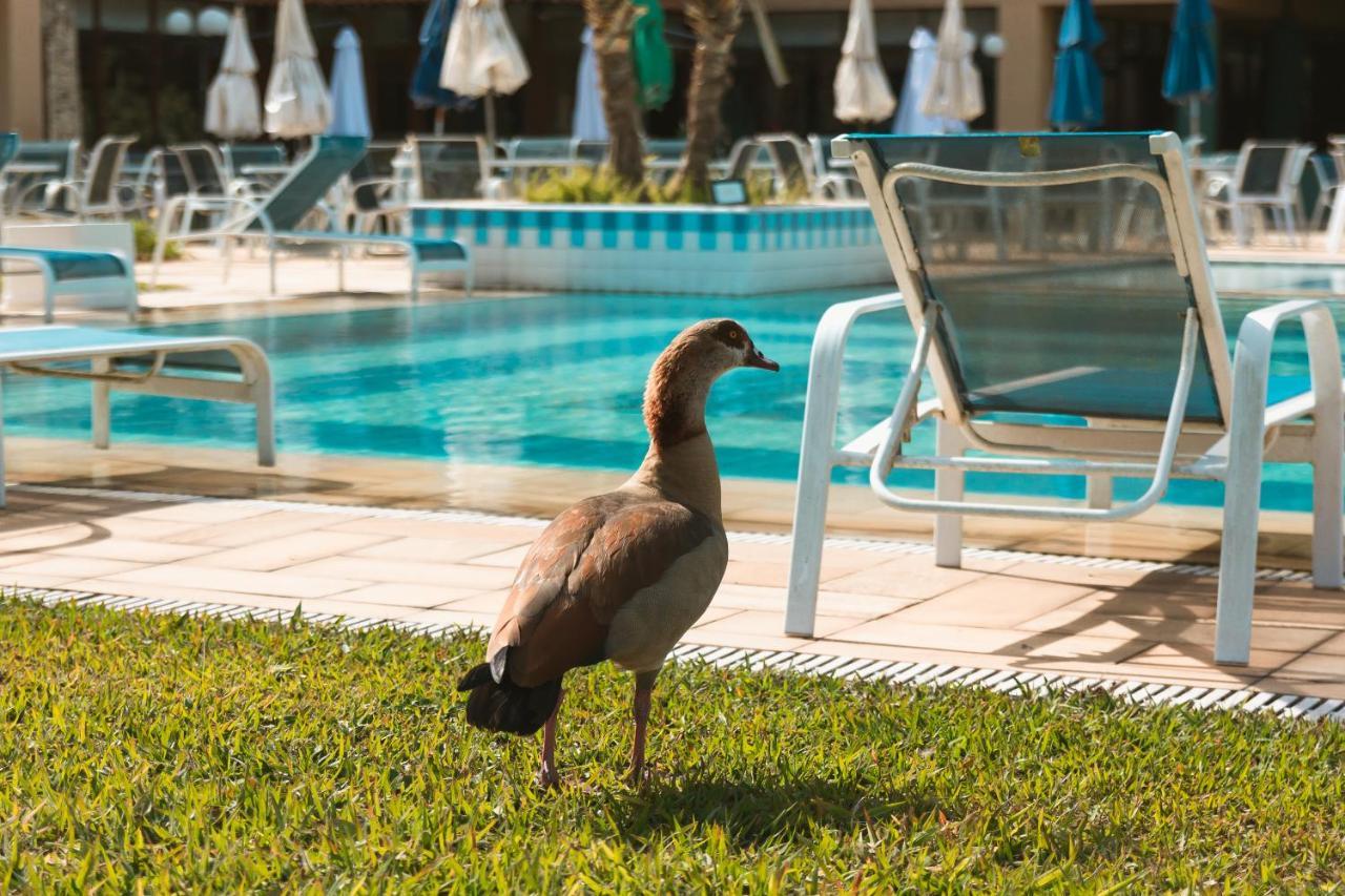 Villa Itaipava Resort & Conventions Eksteriør bilde